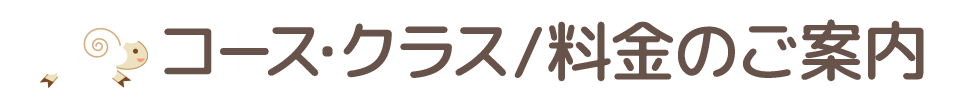 コース/クラスのご案内